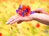 Правильный уход за руками