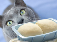 Дрожжевое тесто