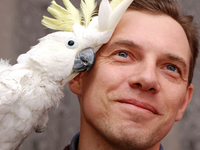 Мужчины, женщины и птицы: кто есть кто