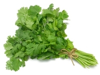 Пряные травы