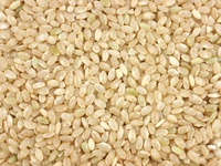 Самая действенная диета мира