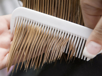 Как правильно расчесывать волосы