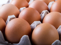 Куринные яйца могут быть опасны