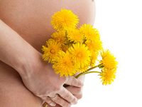 Монолог в животе