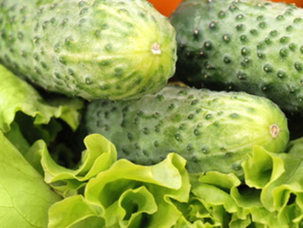 Огуречная неделя