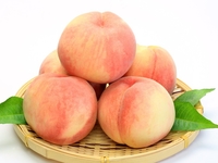 Как выбрать самые полезные и вкусные персики