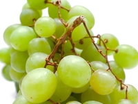 Виноград - отличная основа для кулинарных экспериментов