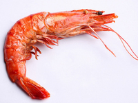 Креветки: выбор и приготовление