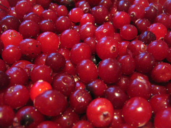 Клюква помогает в борьбе с кариесом