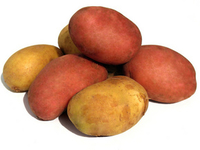 Картофель: покупка и хранение