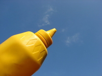 Горчица - приправа с характером