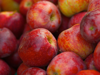 Выбираем яблоки