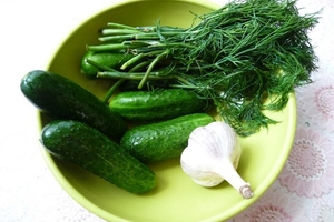 Малосольные огурцы