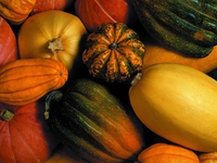 Кулинарное применение тыквы