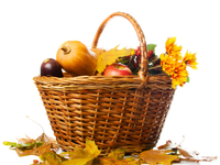 Что готовят осенью?