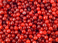 Как приготовить полезный клюквенный сок?