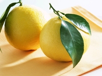 О пользе и вреде лимона