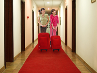 В Швеции создается сеть порно-отелей