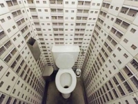 19 ноября - всемирный день туалета