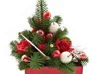 Новый год без ущерба для природы