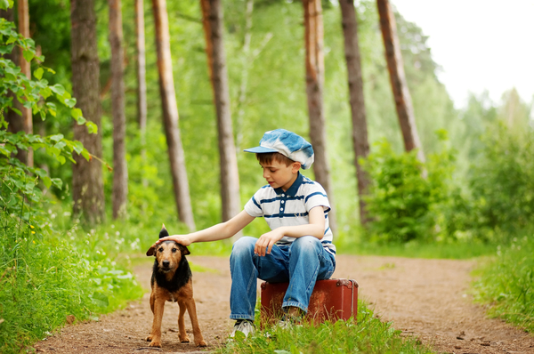 Дети индиго понимают животных и растения