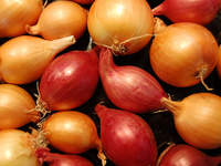 Лук: доступный афродизиак