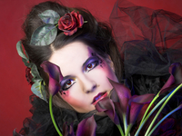 Шик и блеск гламурного макияжа