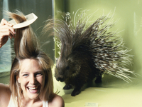 Правильный уход за расческами