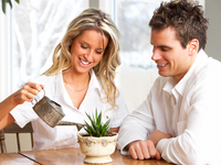 Как украсить дом комнатными растениями. Часть 2