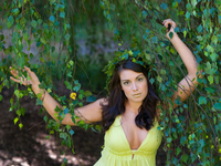 В чем польза березового сока