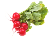 Открываем сезон редиски