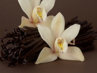 Ваниль: душистая пряность