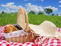 Планируем идеальный пикник