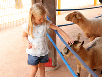 Какие места необходимо посетить с ребенком