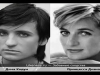 На кого похожи звезды?