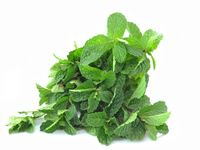 Мята: ароматная пряность