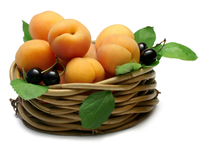 ТОП-6 июльских продуктов