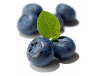 Черника: выбор, польза и применение