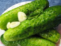 Малосольные огурцы - лучшая летняя закуска