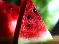 Как выбрать вкусный и спелый арбуз