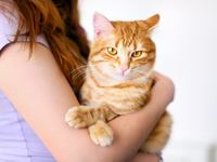 Как кошки влияют на женскую сексуальность