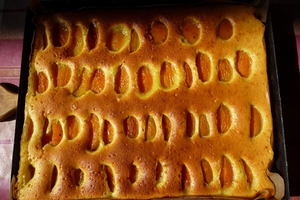 Пирог с абрикосами