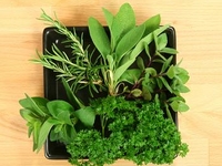 Как засолить зелень на зиму?