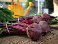 Что приготовить из свеклы?