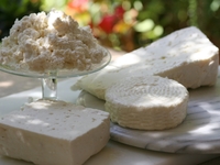 ТОП-9 видов греческого сыра