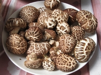 Экзотические грибы: максимум пользы за минимальную цену