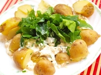Отварной картофель с творожным соусом
