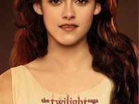 Как сделать прическу в стиле Беллы Свон из фильма Сумерки