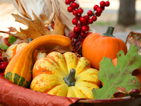 ТОП-6 продуктов октября