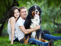 Что помогает мужчинам соблазнить женщин?